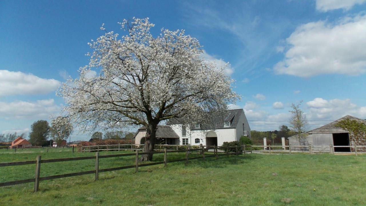 Bed and Breakfast De Weide Poort Beerse Exteriér fotografie